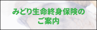 みどり生命終身保険のお問い合わせはこちら